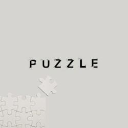 PUZZLE (acoustic ver.)