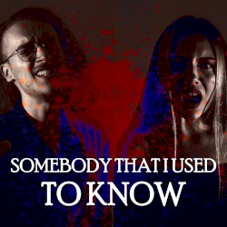 Somebody That I Used To Know (GOTHIC METAL COVER)