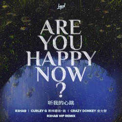 Are You Happy Now (R3HAB VIP remix)