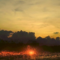 5am Paradise (Acoustic - Sunrise version)