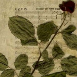 Es regnet das Leben heraus