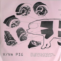 Pig