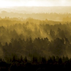 Off the Beaten Track