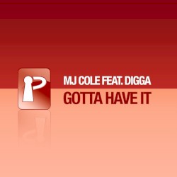 Gotta Have It (remixes)