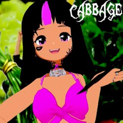 Cabbage