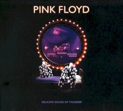 Delicate Sound of Thunder