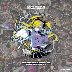 YATSUZAKI HARDCORE COLLECTION 12