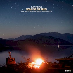 Wood for the Trees (Gone Gone Beyond & The Human Experience remix)