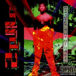 Strictly 4 My N.I.G.G.A.Z…