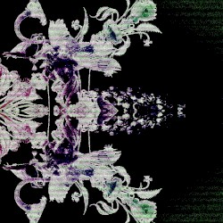 𝘾𝙧𝙤𝙨𝙨𝙧𝙤𝙖𝙙𝙨
