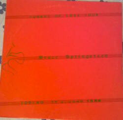Tunnel of Love Tour: Torino 11 Giugno 1988