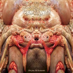 Ubi pus, ibi fermento