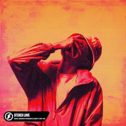 Stereo Love