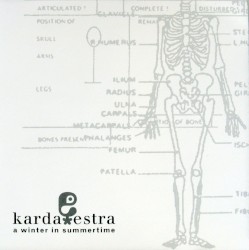 A Winter in Summertime