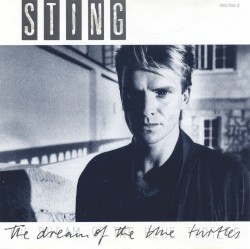 The Dream of the Blue Turtles