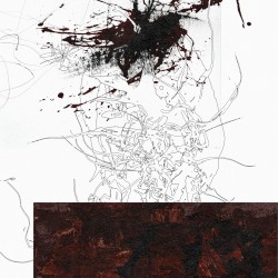 Is This What You Wanted