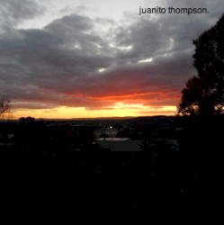 A Close Relative to Vinny Bobarino