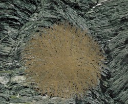 𝔩𝔦𝔤𝔥𝔱𝔰 𝔥𝔢𝔩𝔡 𝔶𝔬𝔲