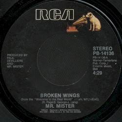Broken Wings