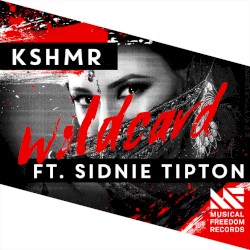 Wildcard (extended mix)