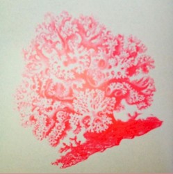 Hoffmann Y los Bicivoladores