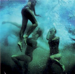 Naissance des pieuvres