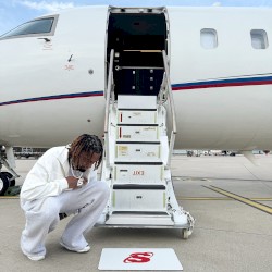 700 Pferde / Up sehen