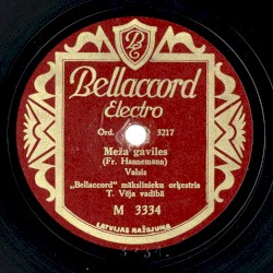 Meža gaviles