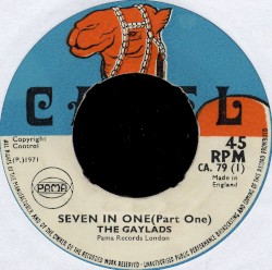 Seven in One