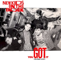 You Got It (The Right Stuff)