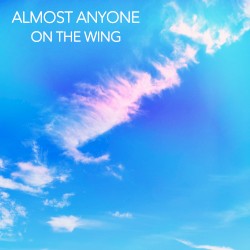On The Wing (Owl City Cover)