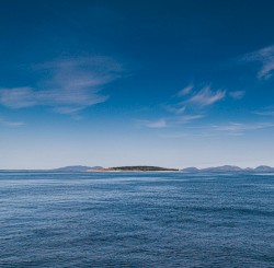 Actions Speak Louder Than Words