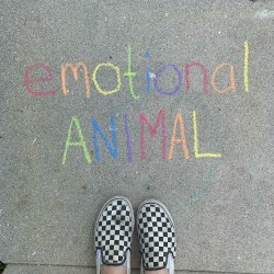 Emotional Animal