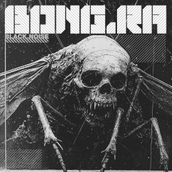 Black Noise