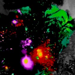 The Legendary Pink Dots' Christmas Album (2013)