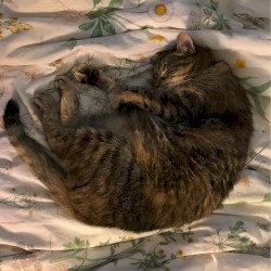 Will You Be Here Tomorrow?