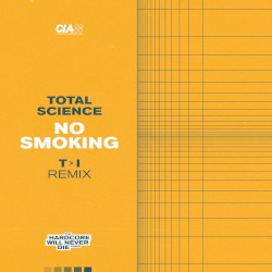 No Smoking (T>I remix)