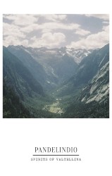 Spirits of Valtellina