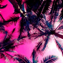 ＳＵＭＭＥＲ 夢