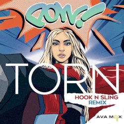 Torn (Hook n Sling remix)