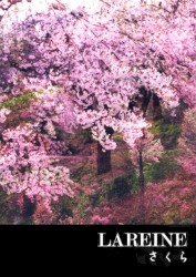 ドラマ / さくら