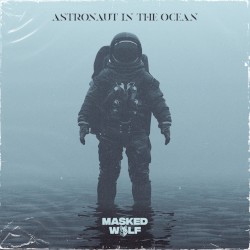 Astronaut in the Ocean