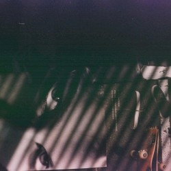 Beneath the Willow Tree