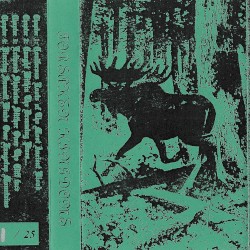 Caught Within the Dreaming Pines