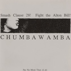 Smash Clause 28! / Fight the Alton Bill!