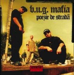 Poezie de stradă