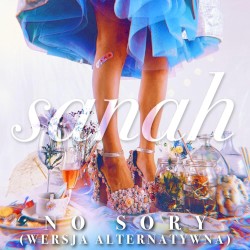 No sory (wersja alternatywna)