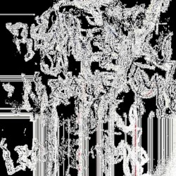 virtual house arrest