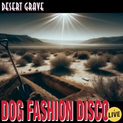 Desert Grave (live)