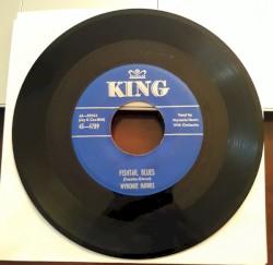 Fishtail Blues / Mr. Dollar